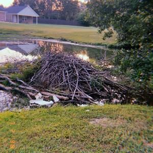 Meet your Posher, Althea